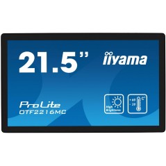 iiyama 21