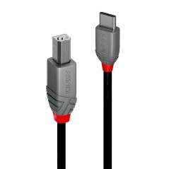 Lindy 2M Usb 2.0 Type C To B Cable