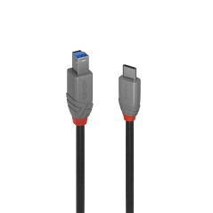 Lindy 2m USB 3.2 Type C to B Cable