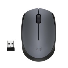 Logitech M170 Mouse