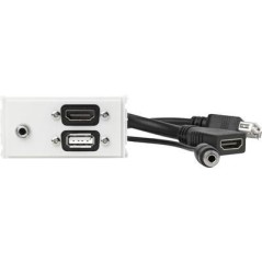 Vivolink Outlet Panel HDMI