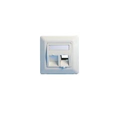 Lanview Wall plate