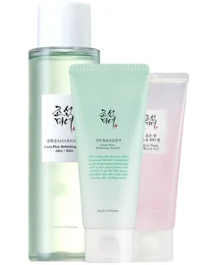 shop Beauty Of Joseon Big Pores 3-Step Routine af Beauty of Joseon - online shopping tilbud rabat hos shoppetur.dk