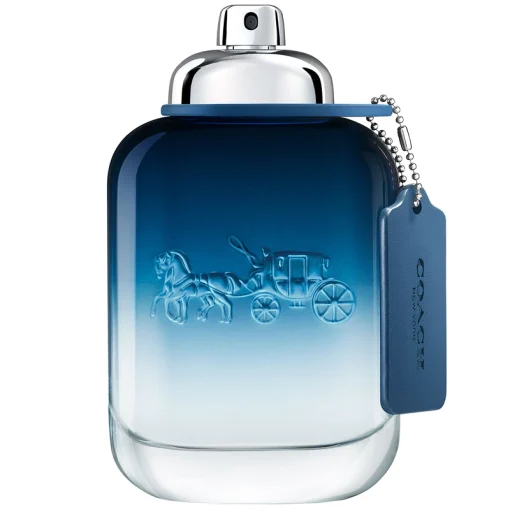 shop Coach Blue EDT 100 ml af Coach - online shopping tilbud rabat hos shoppetur.dk