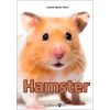 shop Hamster - Mini - Hardback af  - online shopping tilbud rabat hos shoppetur.dk