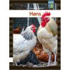 shop Høns - Fakta 3 - Hardback af  - online shopping tilbud rabat hos shoppetur.dk