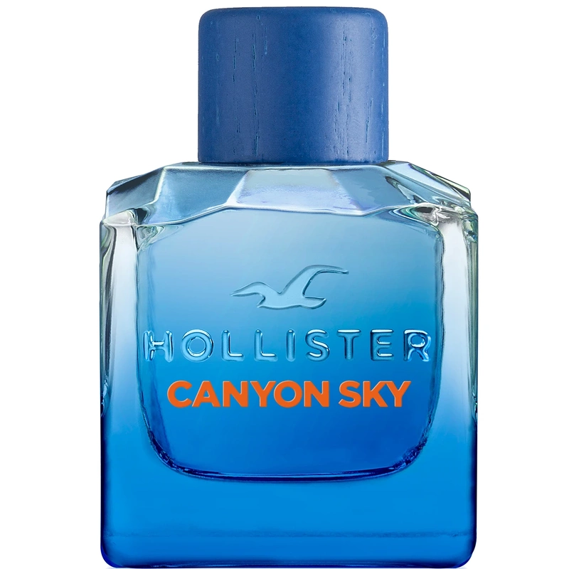 shop Hollister Canyon Sky For Him EDT 100 ml af Hollister - online shopping tilbud rabat hos shoppetur.dk