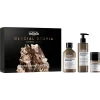 shop L'Oreal Professionnel Absolut Repair Molecular Gift Set (Limited Edition) af LOreal Professionnel - online shopping tilbud rabat hos shoppetur.dk