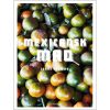 shop Mexicansk gademad - Hardback af  - online shopping tilbud rabat hos shoppetur.dk