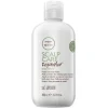 shop Paul Mitchell Tea Tree Scalp Care Regeniplex Shampoo 300 ml af Paul Mitchell - online shopping tilbud rabat hos shoppetur.dk