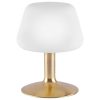 shop Paul Neuhaus bordlampe - Till - Messing af paul-neuhaus - online shopping tilbud rabat hos shoppetur.dk