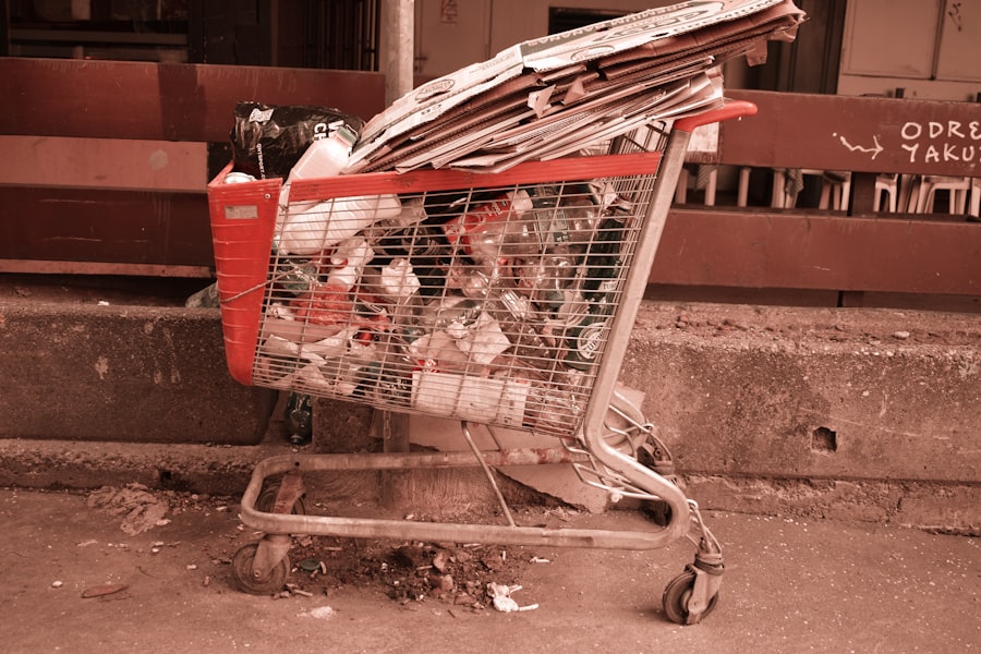 Grocery shopping cart