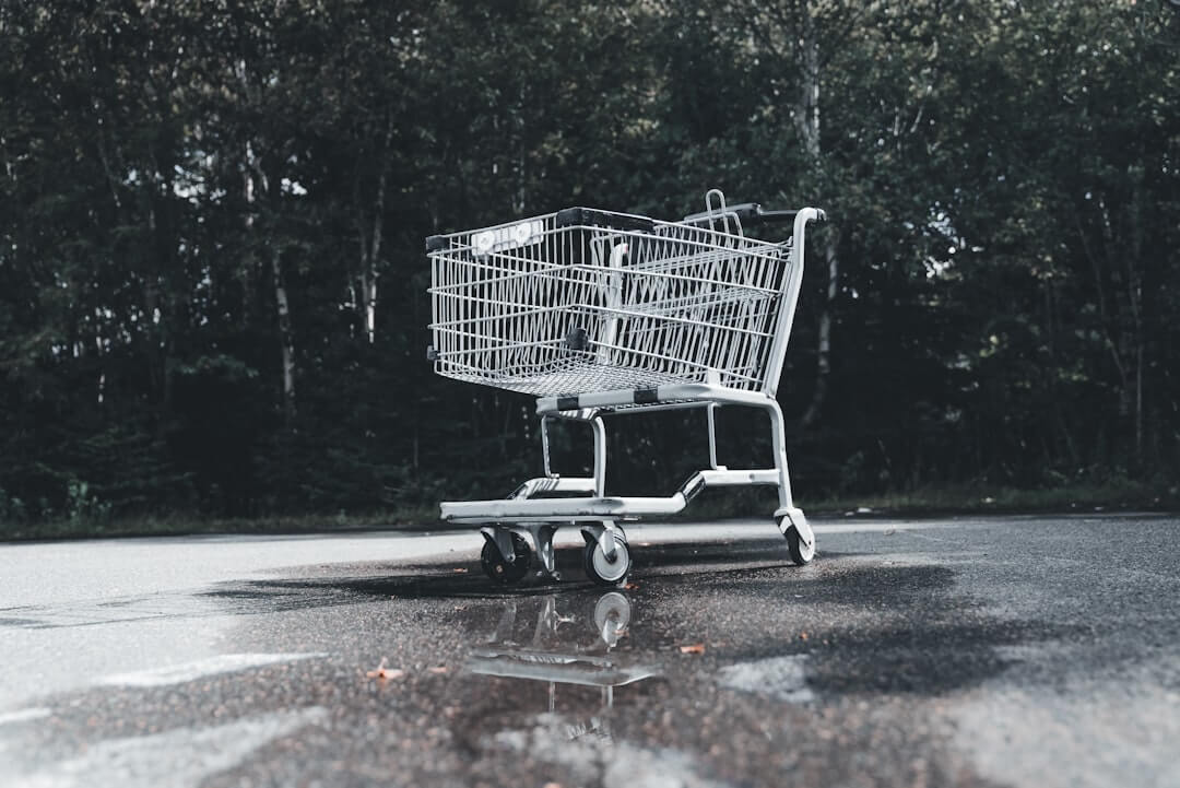 Tips til at handle dagligvarer på budget 7 Photo Grocery shopping cart