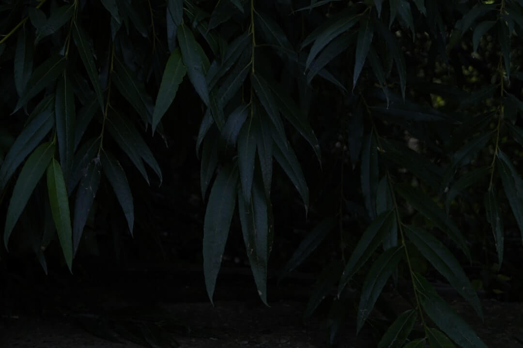 De mest populære produkter i Danmark lige nu 13 Photo populære produkter