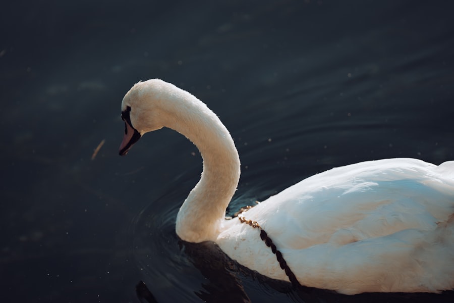 De bedste gaveidéer til enhver anledning 2 Photo gaveidéer