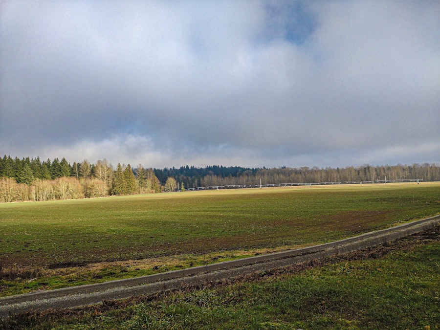 Sæsonens største prisfald: Her skal du slå til lige nu 1 prisfald