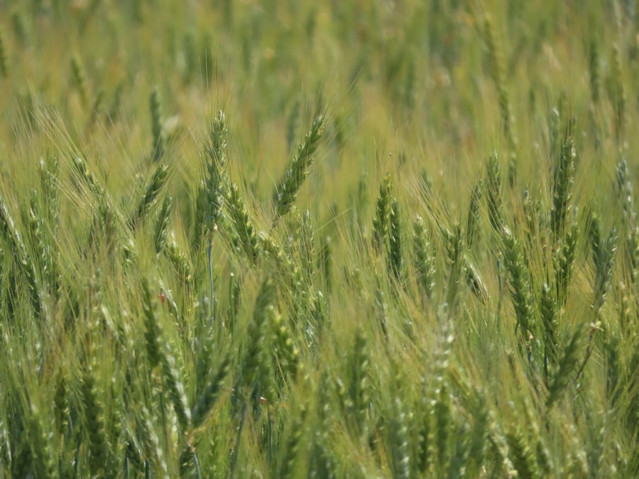 Sæsonens største prisfald: Her skal du slå til lige nu 2 Photo prisfald